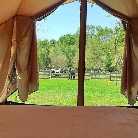Luxuszelt Insolite Tente Glamping