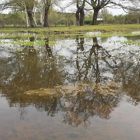 Insolite Tente Glamping